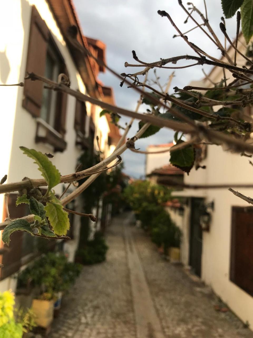 Silenos Boutique Hotel Seferihisar Luaran gambar